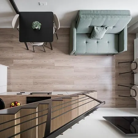 公寓 Loft 10 维尔纽斯